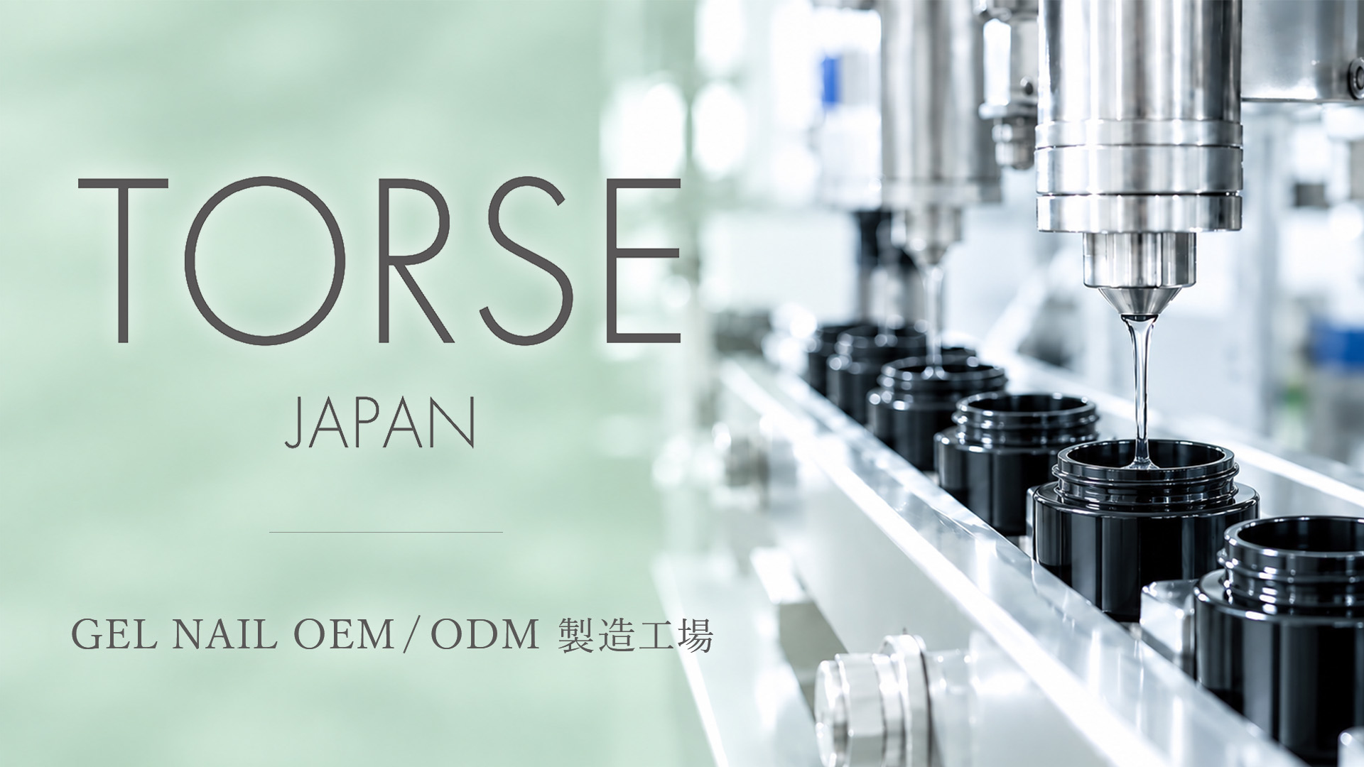 株式会社トルス